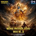 Shrimad Bhagvat Gita Saar, Vol 3 (Pt. 1)