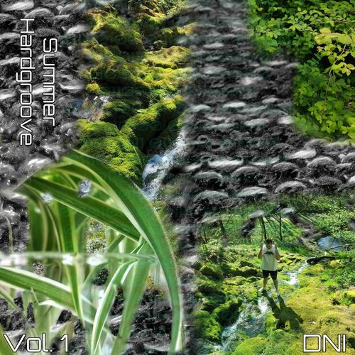 Summer Hardgroove, Vol. 1