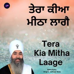 Tera Kia Mitha Laage-RlldBUBzVXo