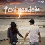 Teri Yaadein artwork