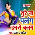 Ture Na Palang Hamaro Balam