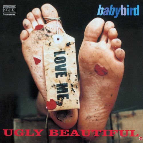 Baby Bird