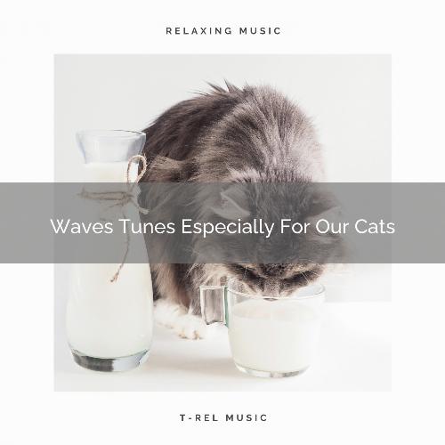 All Nature Sounds For Beloved Cats cover art