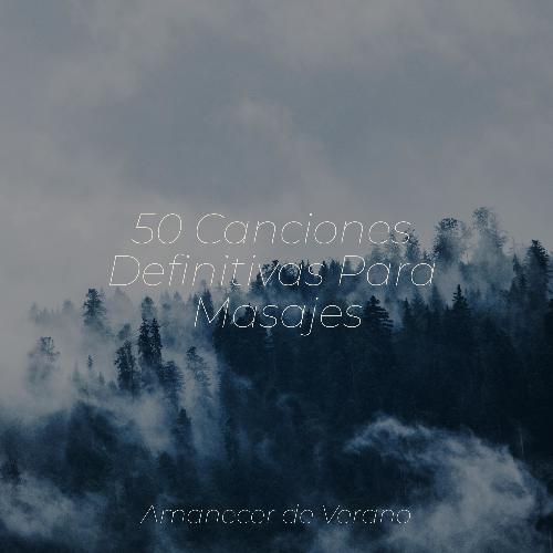 Vista de la Nube Velada cover art