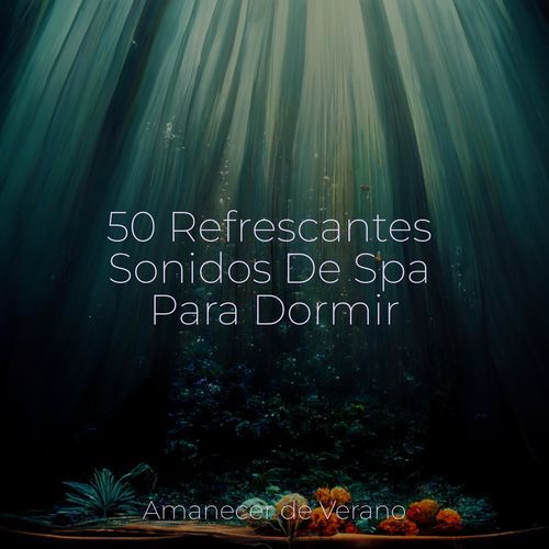 50 Refrescantes Sonidos De Spa Para Dormir_poster_image