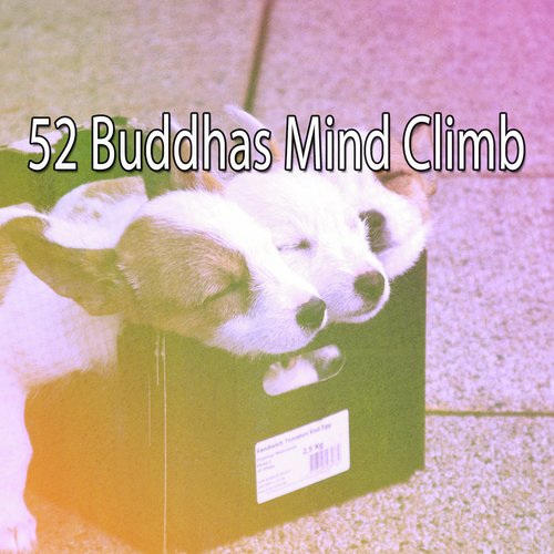 52 Buddhas Mind Climb