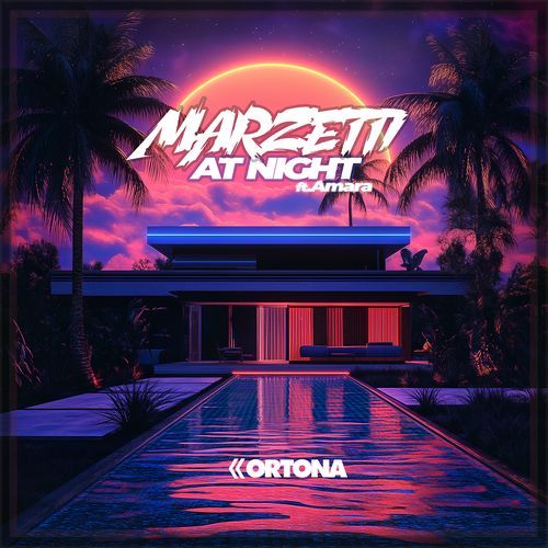 At Night (feat. Amara)_poster_image