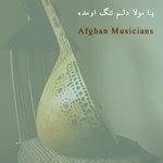 یا مولا دلم تنگ اومده (امشب دلکم هوای دلبر کرده)