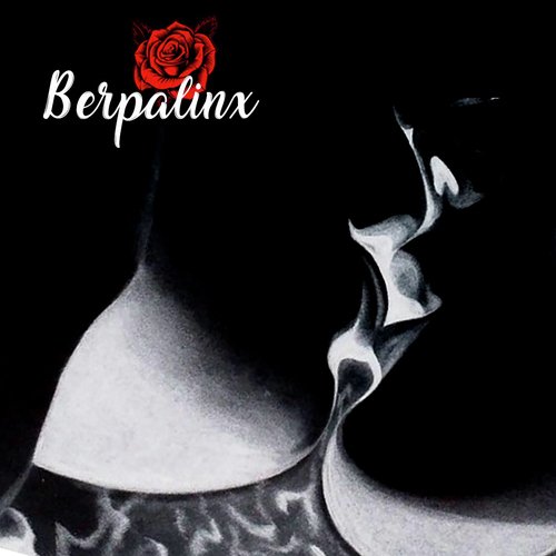 Berpalinx cover art