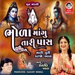 Bhoda Mangu Tari Paas Mari Puri Karjo Aas artwork