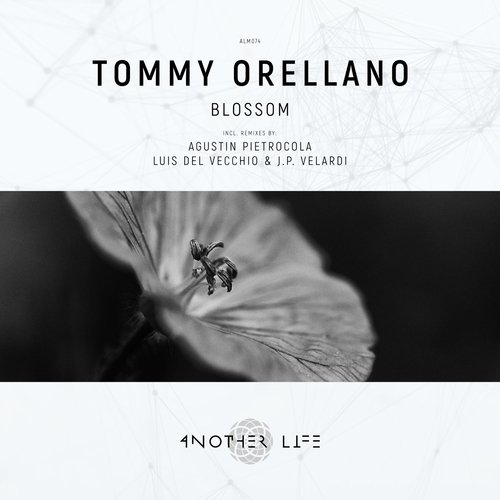 Blossom (Agustin Pietrocola Remix) cover art