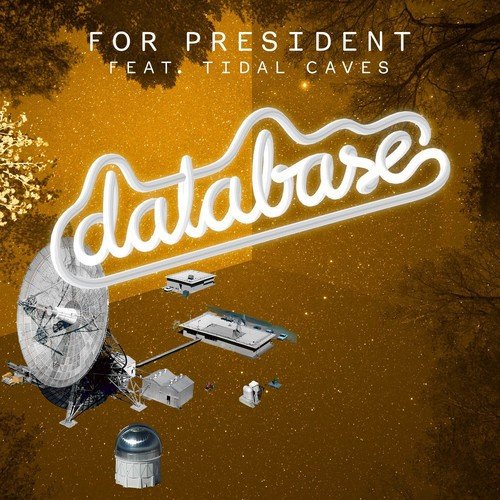 For President (feat. Tidal Caves) - EP_poster_image