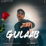 Gulaab