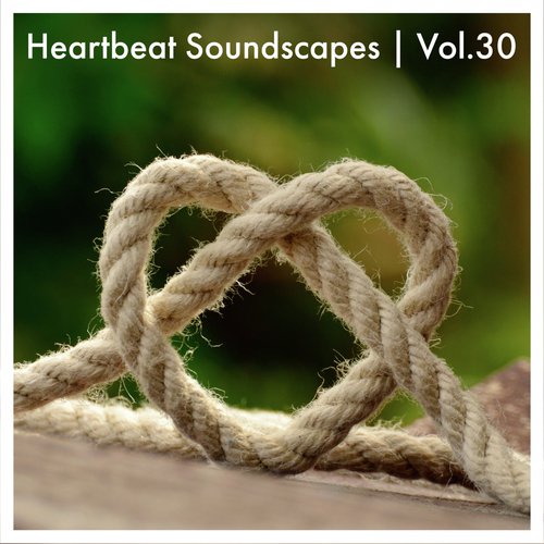 Heartbeat Soundscapes, Vol. 30