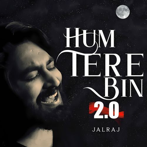 Hum Tere Bin 2.0