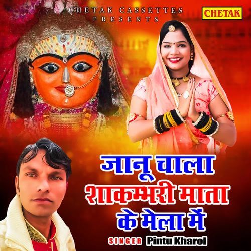 Janu Chala Shakmbhari Mata Ke Mela Me