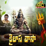 Kailaasa Vaasa artwork