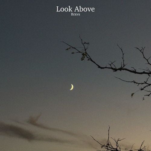 Look Above