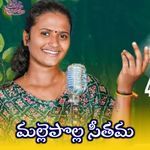MALLE POLLA SEETHAMMA