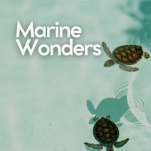 Ocean Currents cover art