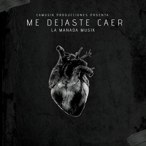 Me Dejaste Caer cover art