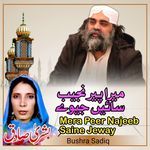 Mera Peer Najeeb Sain Jeway