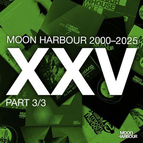 Puddle Trouble (Nic Fanciulli & Mark Fanciulli Remix) cover art