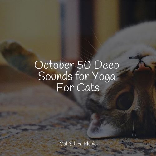 October 50 Deep Sounds for Yoga For Cats_poster_image