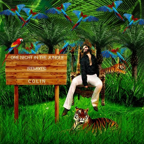 One Night In The Jungle (Italo-Disco Remix) cover art