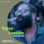 Payye Veesum (Recreated Version)