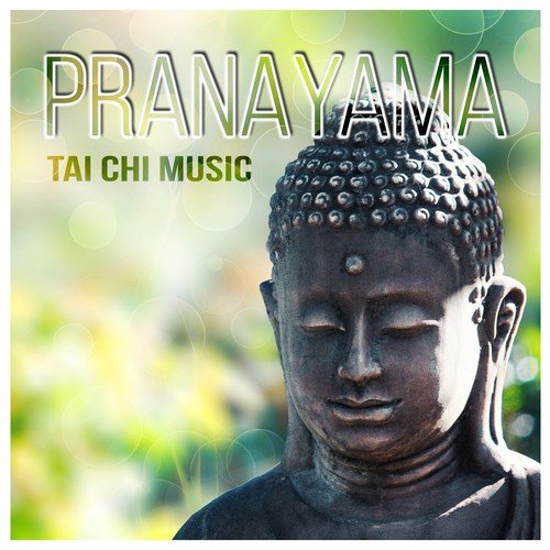 Pranayama – Emotional Tai Chi Music, Mindfulness Meditation Exercises, Peaceful New Age Sounds, Daily Yoga Training