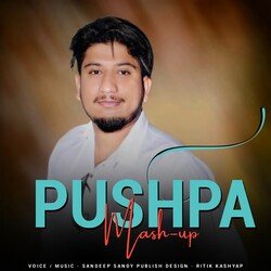 Pushpa Mashup-QycOVT9WQwo