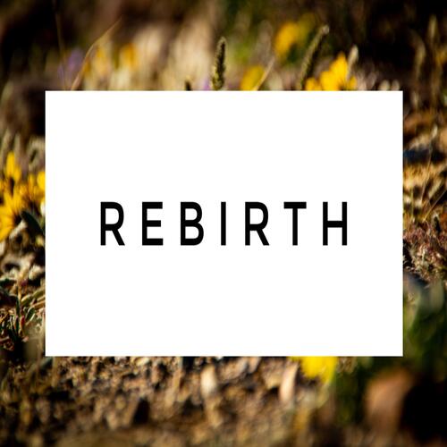 Rebirth