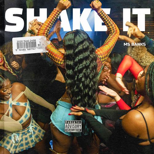 Shake It_poster_image