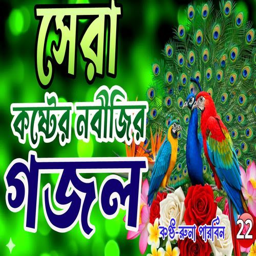 Tin Din Jabot Nobi Amar Naigo Modinay