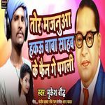 Tor Majnuya Hakau Baba Saheb Ke Fan Ke Pagli