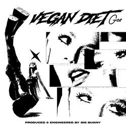 Vegan Diet-PB0gZQ5UZ1E