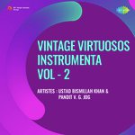 Vintage Virtuosos Instrumenta Vol. 2