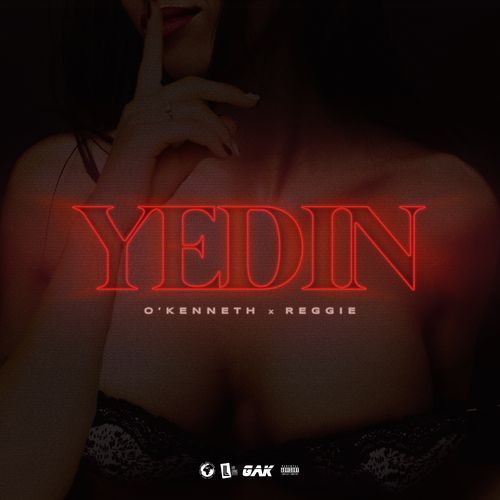 YEDIN_poster_image