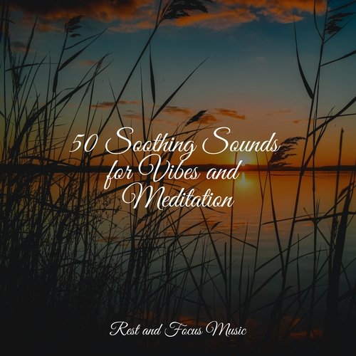 50 Soothing Sounds for Vibes and Meditation