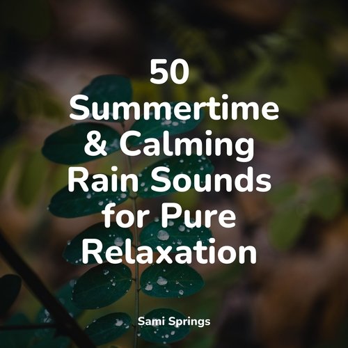 50 Summertime & Calming Rain Sounds for Pure Relaxation