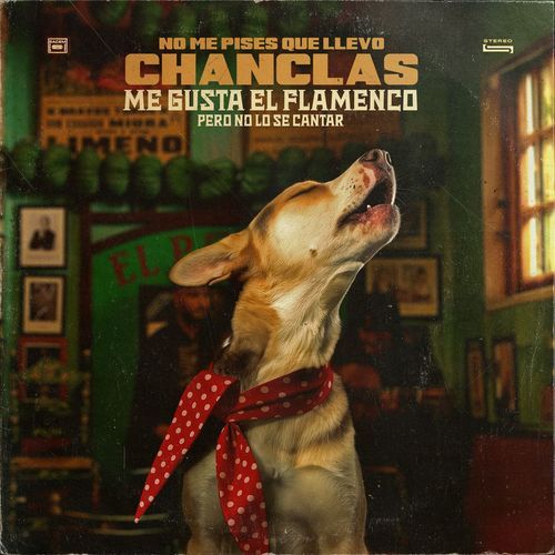 Me gusta el flamenco pero no lo sé cantar cover art
