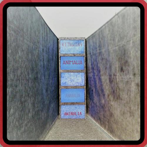 Montaña cover art