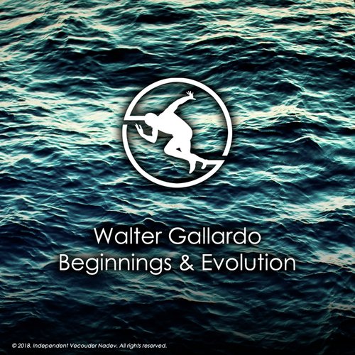 Beginnings and Evolution