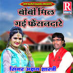 Bibi Milgai Fansandar