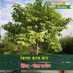 Birwa kadam kera (hindi)