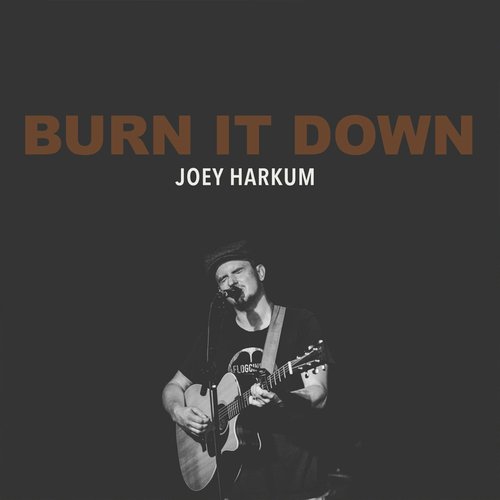 Burn It Down_poster_image