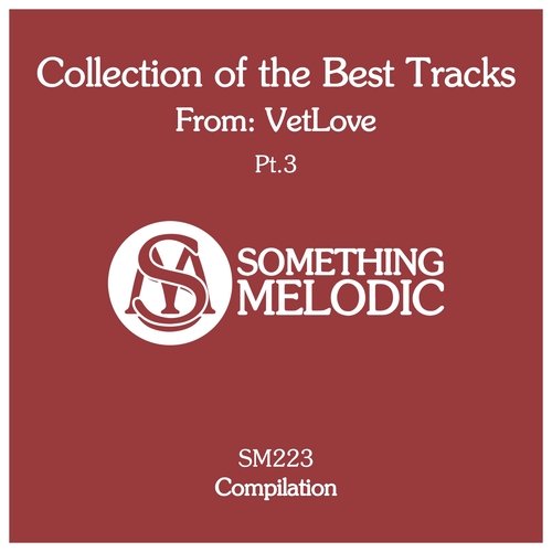Shade (VetLove Dub Remix) cover art