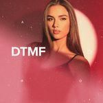 DTMF (Afro House) artwork