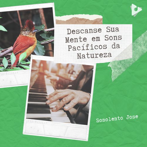 Paisagem sonora da floresta cover art